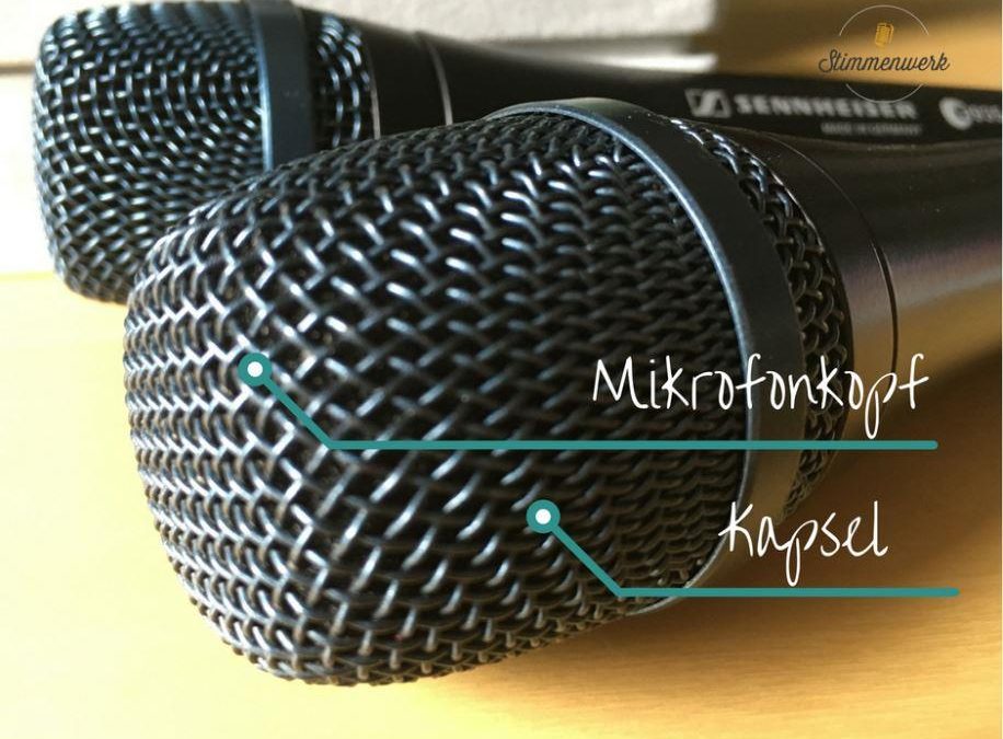 Stimmenwerk Mikrofontypen